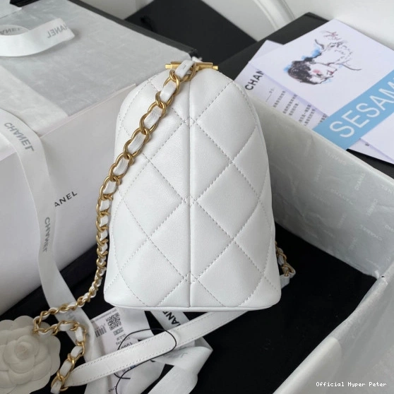 HyperPeter CHANEL SMALL HOBO BAG 0715